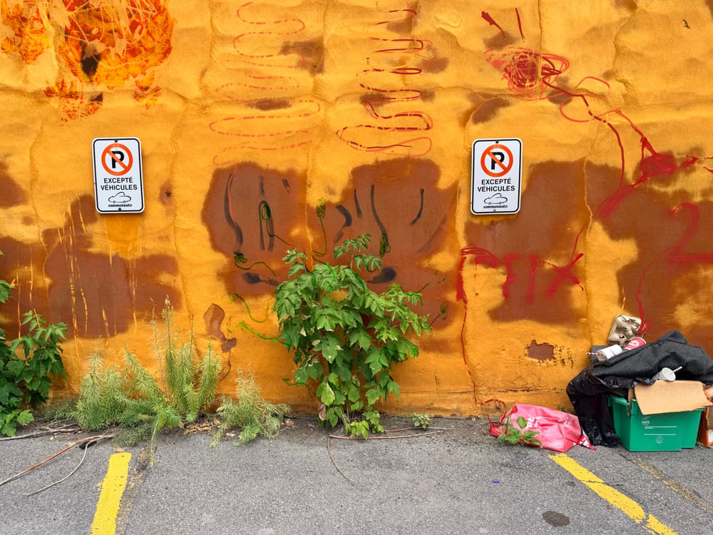 Orange wall with plants and no parking sign in front plus garbage and parking lot lines plus squiggles