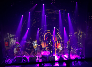 The Beauty and Power of Mr. Tambourine Man