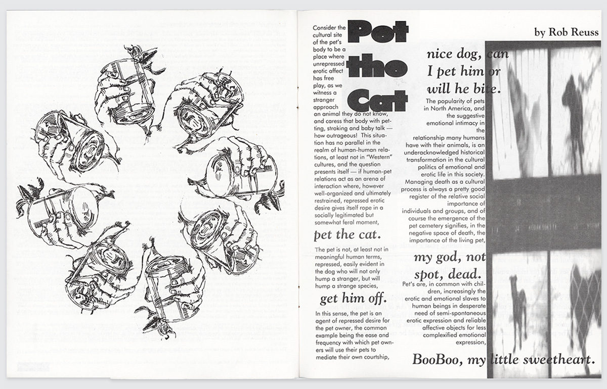 inside spread of drawing by dawn clements and essay called pet the cat