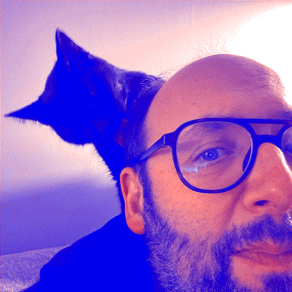 Andrew's head being licked by a cat
