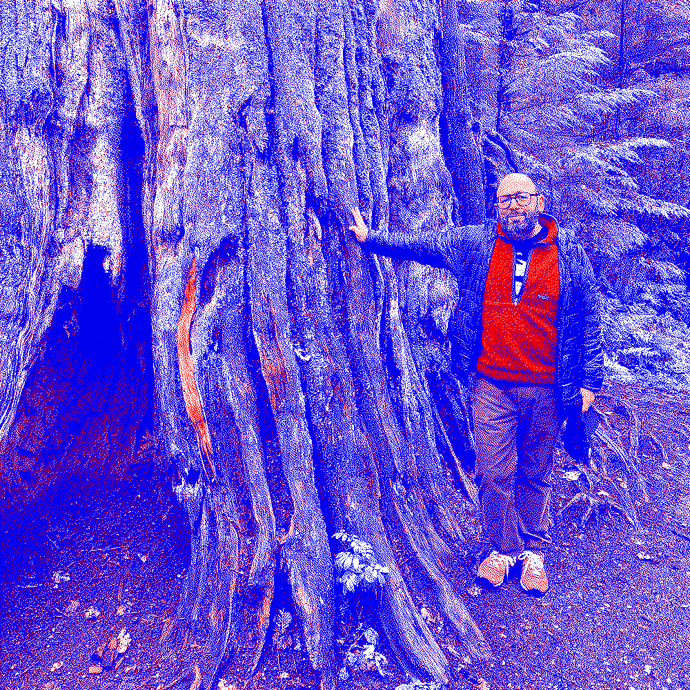 Andrew standing next to very large tree trunk